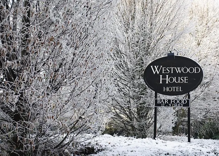 Hotel Westwood 4*